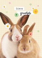 lieve groetjes kaart met konijnen en bloemetjes